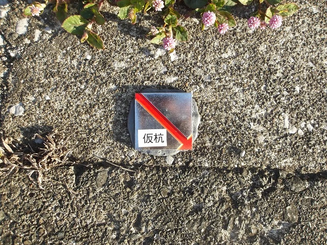 地面に埋め込まれた仮杭マーカー